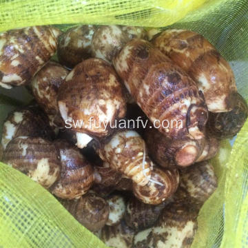 Shandong Anqiu Fresh Taro na Ladha nzuri